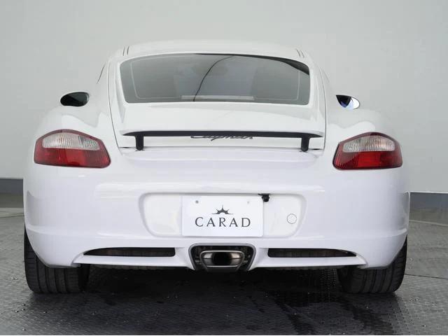 Porsche CAYMAN 19