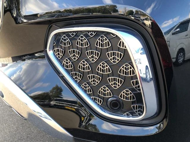 MERCEDES MAYBACH GLS 20