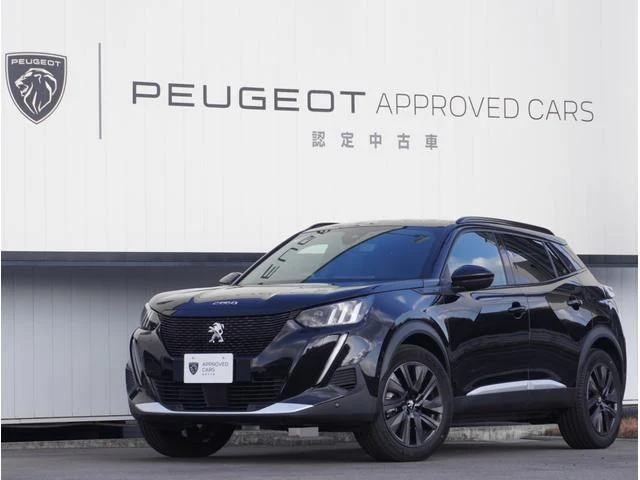 Peugeot E-2008
