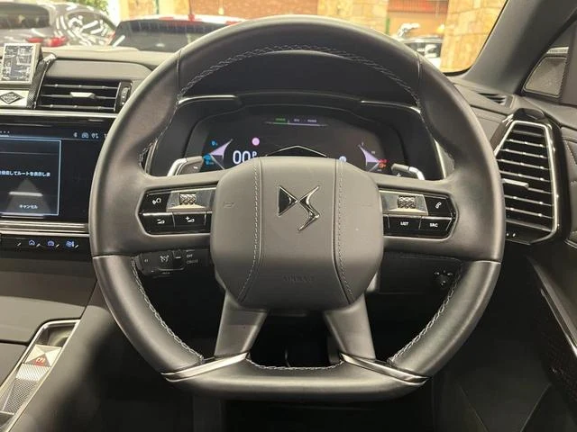 DS Automobiles DS7 10