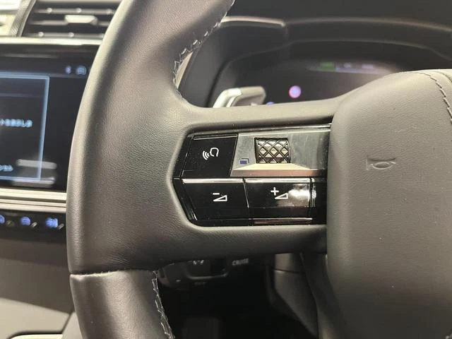 DS Automobiles DS7 12