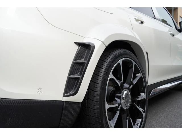 MERCEDES MAYBACH GLS 29