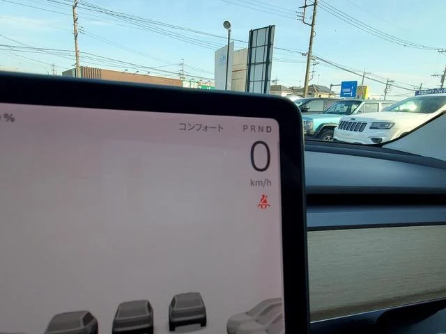 Tesla MODEL 3 52