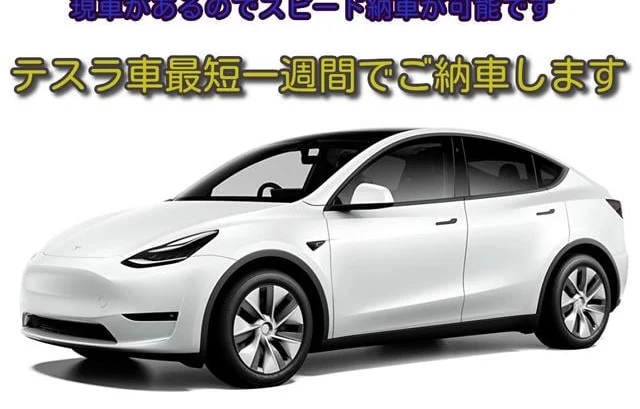 Tesla MODEL 3 2