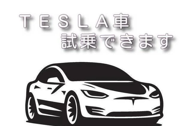Tesla MODEL 3 3
