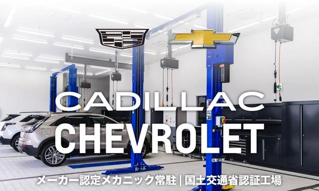 Chevrolet EXPRESS 58