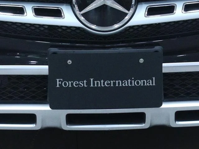 MERCEDES BENZ GLA-CLASS 33