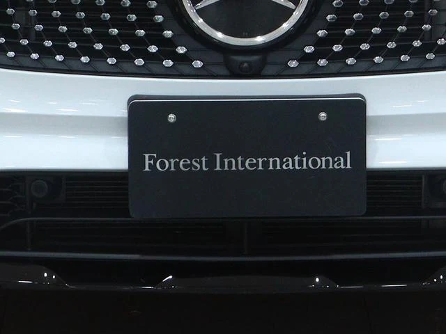 MERCEDES BENZ GLB 36