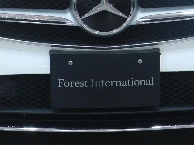 MERCEDES BENZ E-CLASS 35