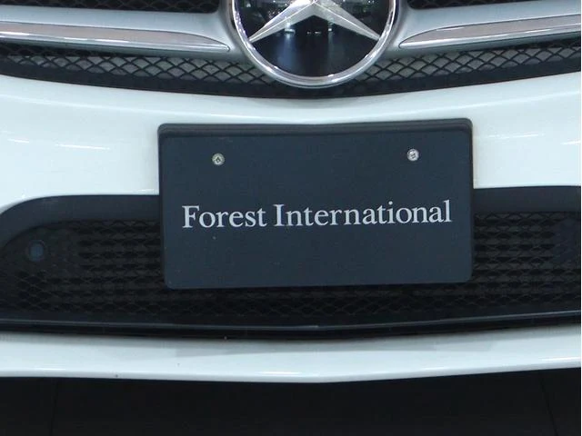 MERCEDES BENZ B-CLASS 36