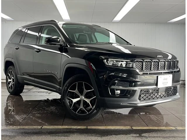 Chrysler JEEP 41