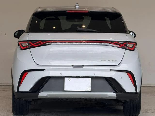 BYD DOLPHIN 17
