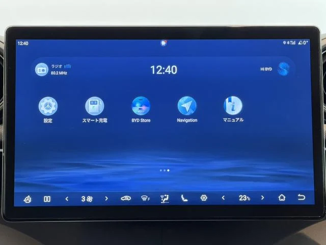 BYD DOLPHIN 40