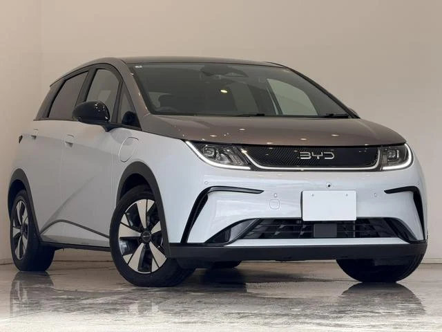 BYD DOLPHIN 10