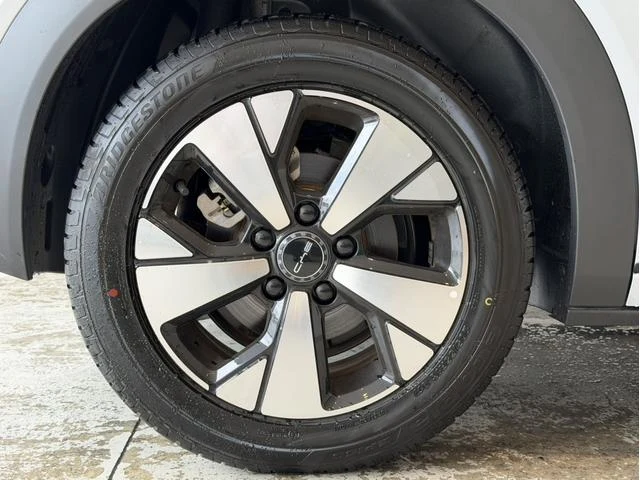 BYD DOLPHIN 65