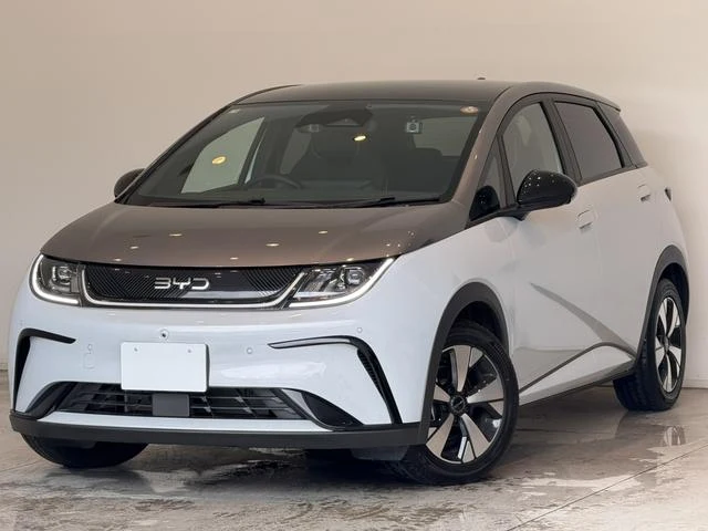 BYD DOLPHIN 59
