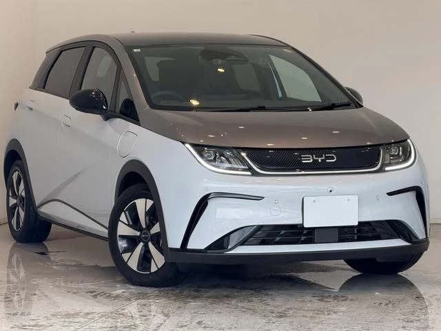 BYD DOLPHIN 51