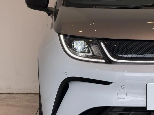 BYD DOLPHIN 13