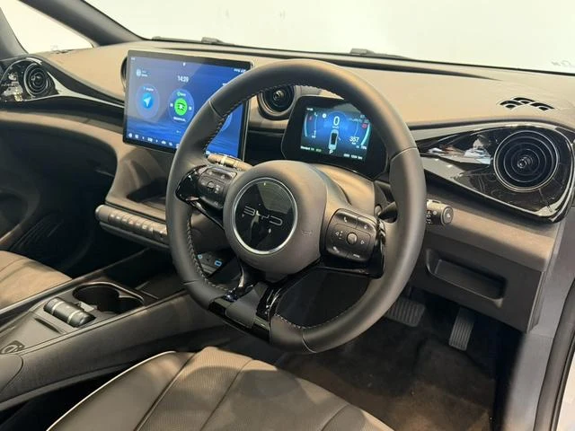 BYD DOLPHIN 24