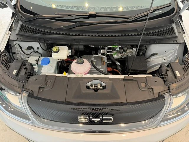 BYD DOLPHIN 50
