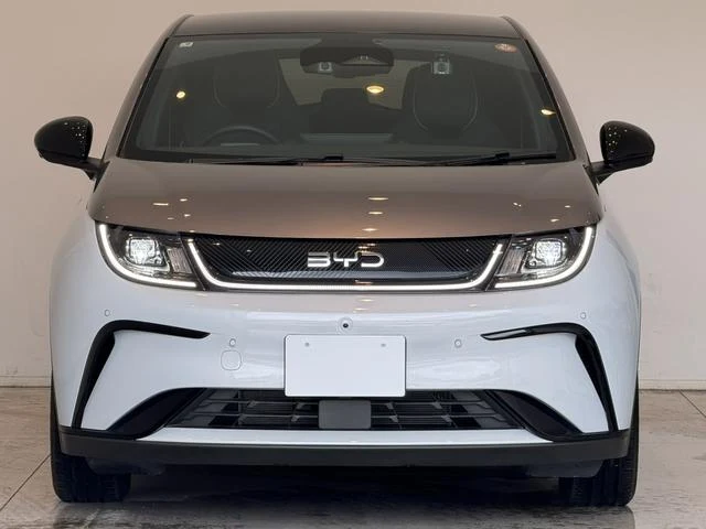 BYD DOLPHIN 56