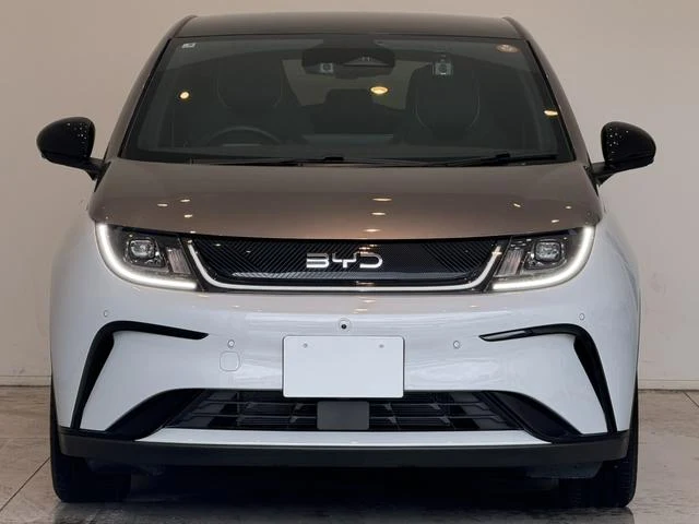BYD DOLPHIN 11