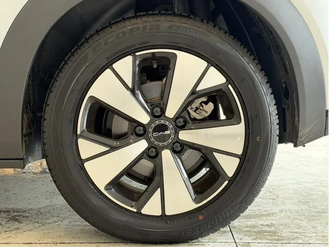 BYD DOLPHIN 66