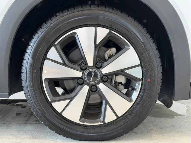 BYD DOLPHIN 20