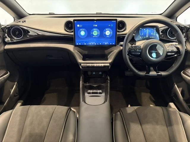 BYD DOLPHIN 40