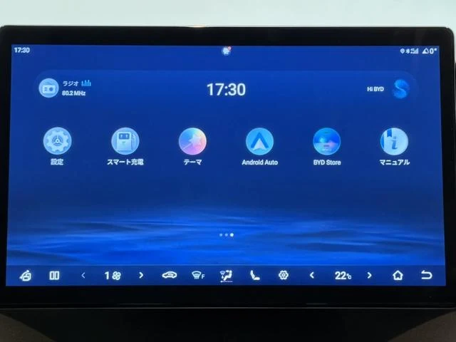 BYD DOLPHIN 34
