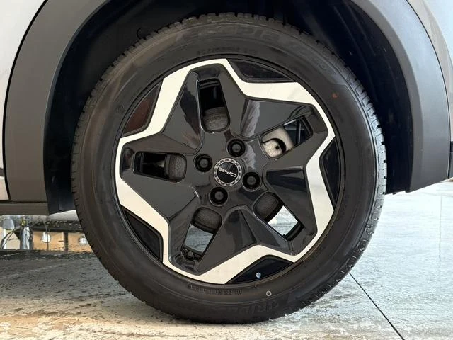BYD DOLPHIN 56