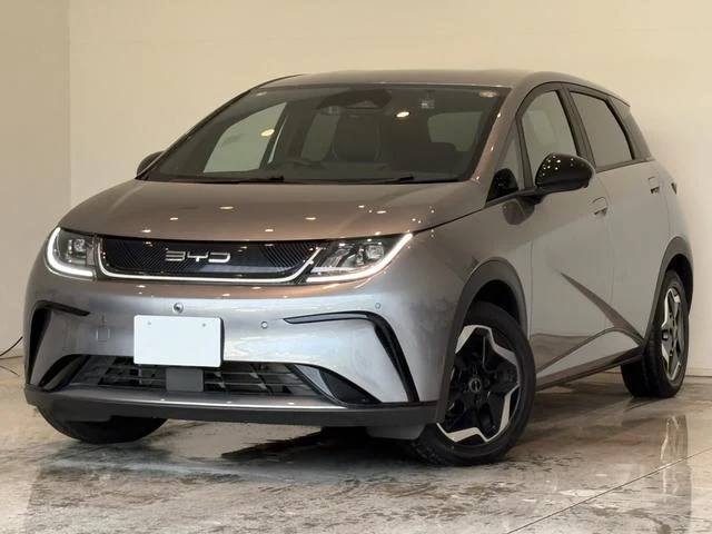 BYD DOLPHIN 49