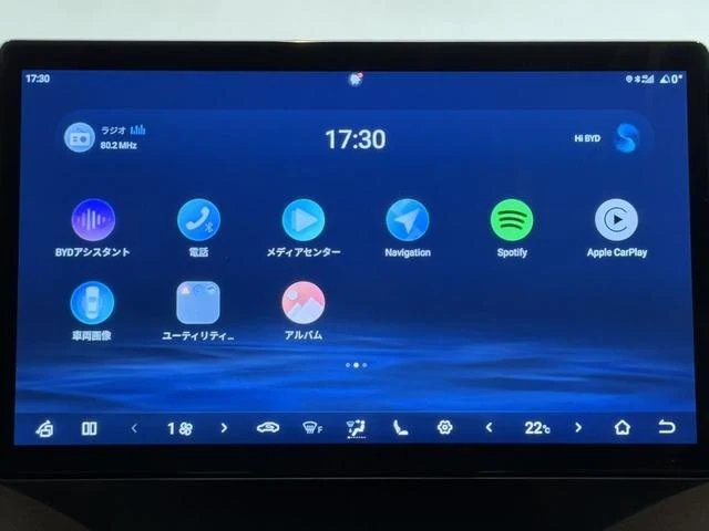 BYD DOLPHIN 33