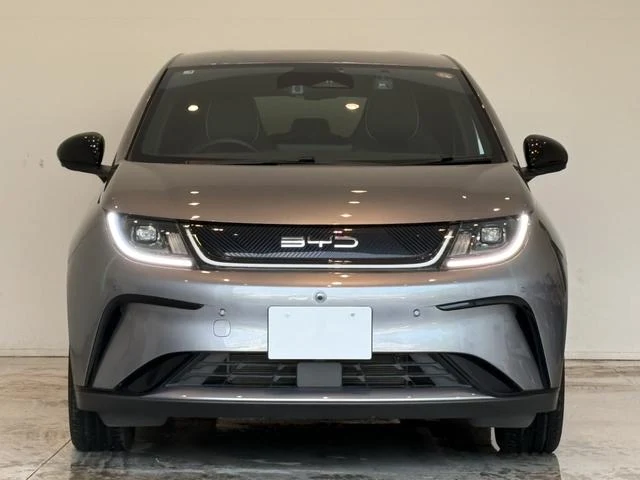 BYD DOLPHIN 45