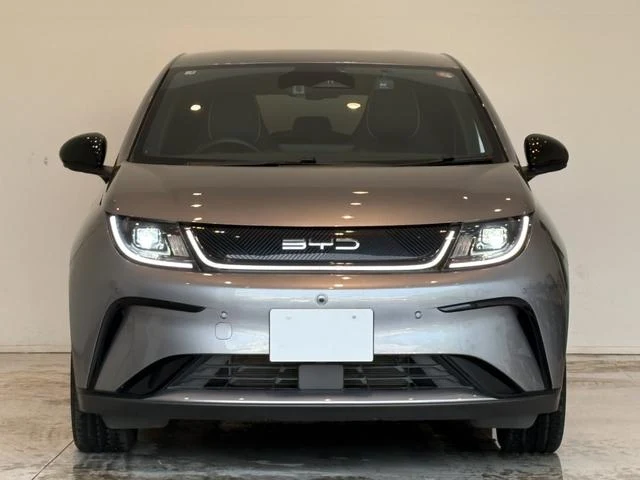 BYD DOLPHIN 46