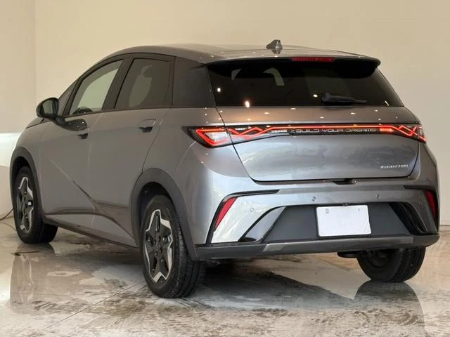 BYD DOLPHIN 50