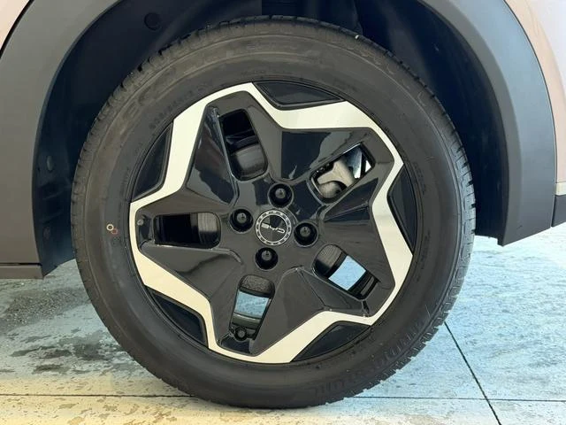 BYD DOLPHIN 17