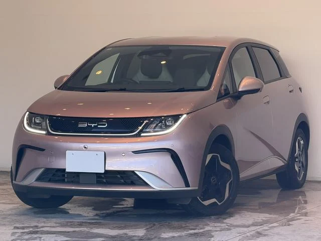 BYD DOLPHIN 12