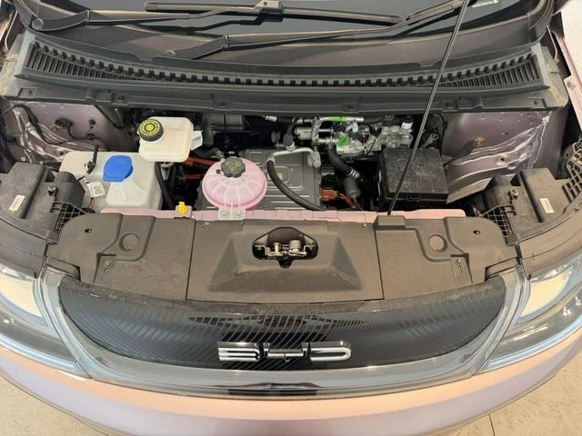 BYD DOLPHIN 42