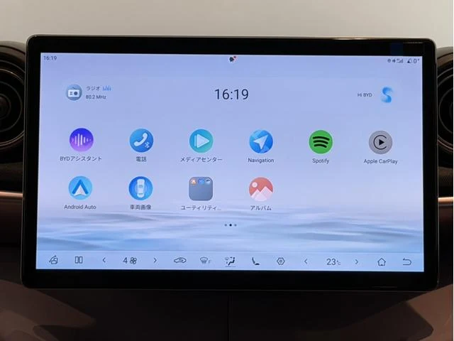 BYD DOLPHIN 30
