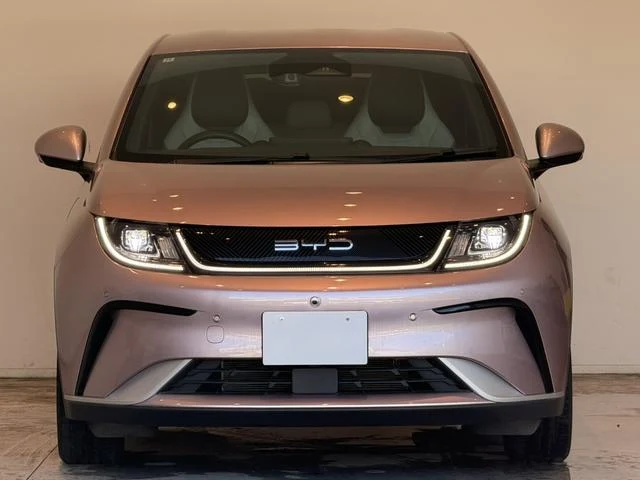 BYD DOLPHIN 45