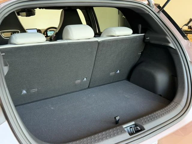 BYD DOLPHIN 40