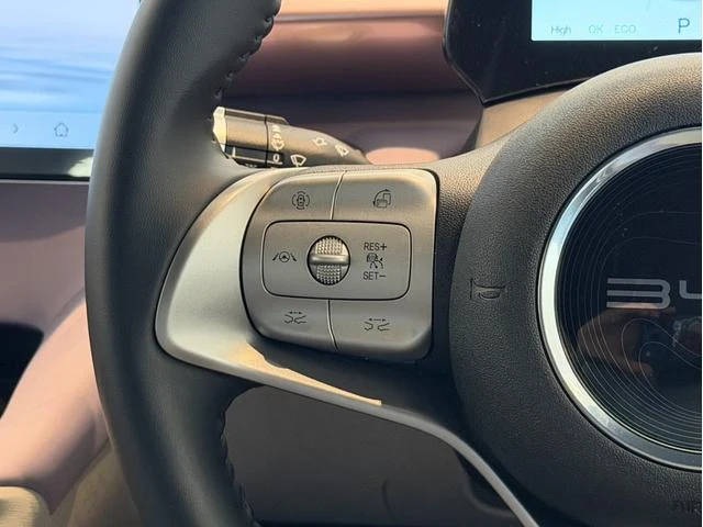 BYD DOLPHIN 22
