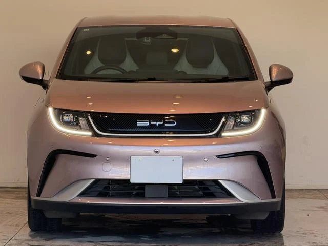 BYD DOLPHIN 8