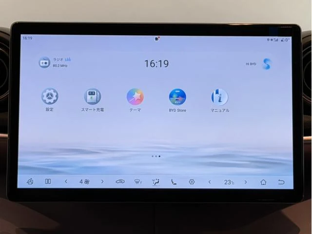 BYD DOLPHIN 31