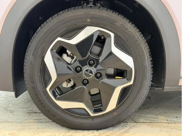BYD DOLPHIN 18