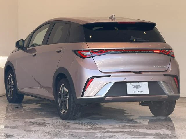 BYD DOLPHIN 2
