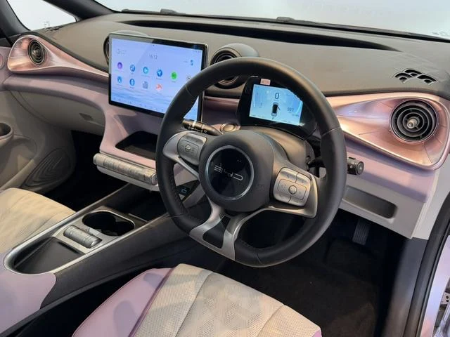 BYD DOLPHIN 55