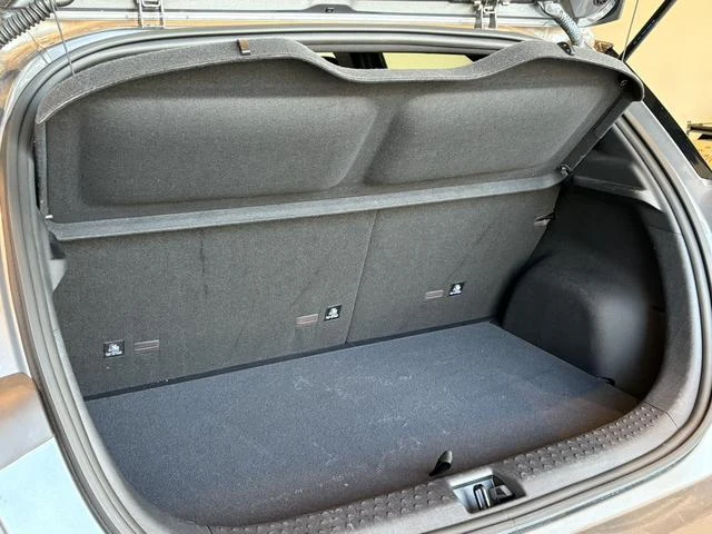 BYD DOLPHIN 38