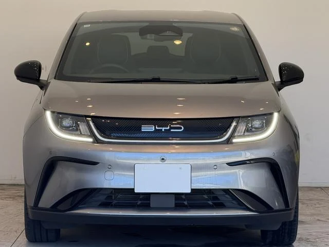 BYD DOLPHIN 3